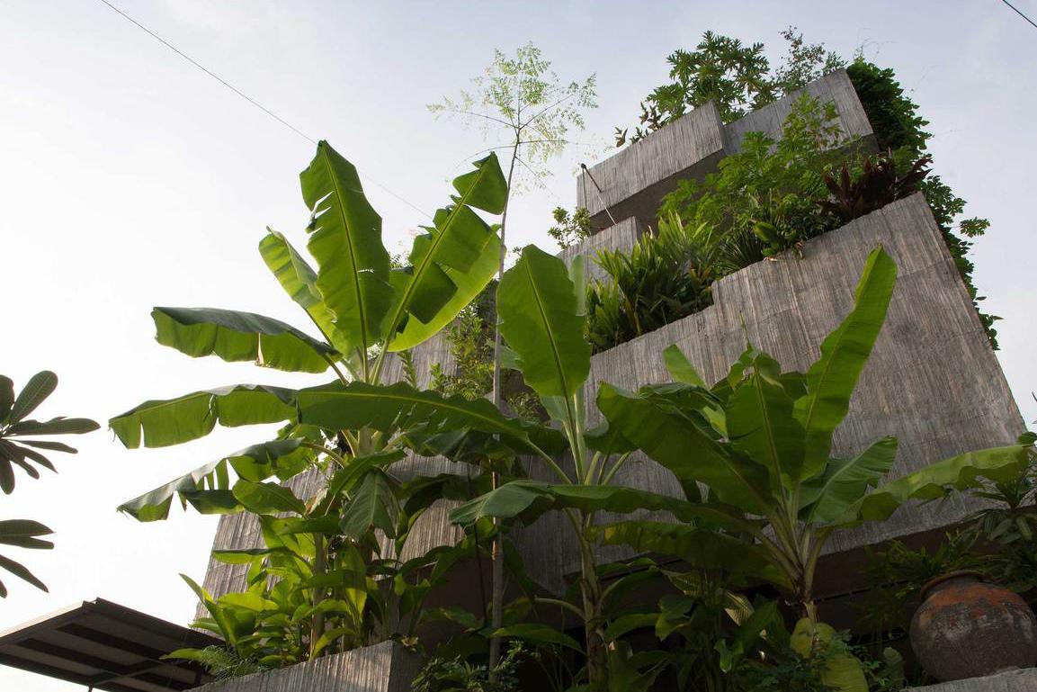 马来西亚植物盒住宅，重新定义现代热带住宅